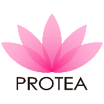 Protea Hair Coupons, Promo Codes & Discounts